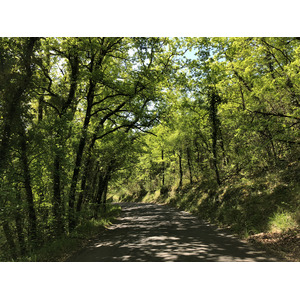 Photo France Floirac 2018-04 130
