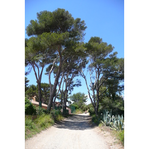 Photo France Ile de Porquerolles Pointe Bearlieu 2008-05 0