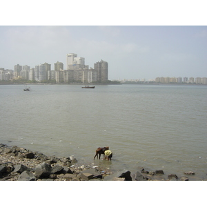 Photo Inde Bombay 2003-05 79