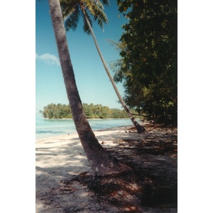 Photo Polynésie Mooréa 1993-04 46