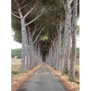 Photo Italie Toscane 2021-09 14