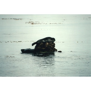 Photo États-Unis Californie 1992-08 8