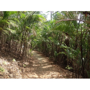 Photo Costa Rica Montezuma 2015-03 356