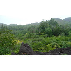 Photo Seychelles Curieuse 2011-10 23