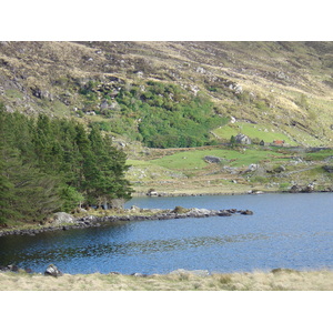 Photo Irlande Kerry Parc National de Killarney 2004-05 38