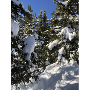 Photo France Praz sur Arly 2019-12 288