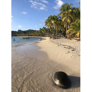 Photo Guadeloupe Plage de la Caravelle 2021-02 15