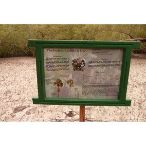Photo Seychelles Curieuse 2011-10 3