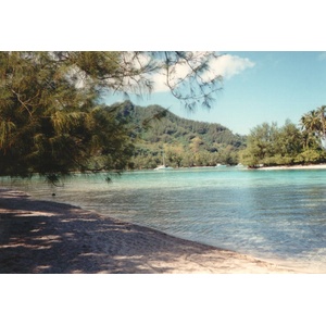 Photo Polynésie Mooréa 1993-04 20
