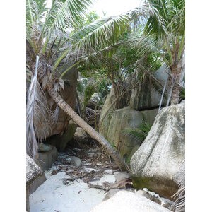Photo Seychelles Ile Coco 2011-10 17