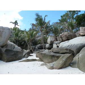 Photo Seychelles Ile Coco 2011-10 71