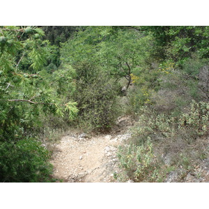 Photo France Vence Baou 2006-06 103