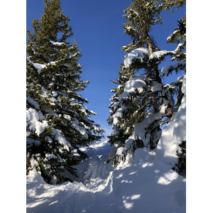 Photo France Praz sur Arly 2019-12 358