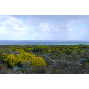 Photo Afrique du Sud Cap de Bonne Espérance pointe du cap de Bonne Espérance 2008-09 0