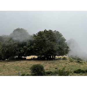 Photo France Corse Refuge de Callerucciu 2022-06 39