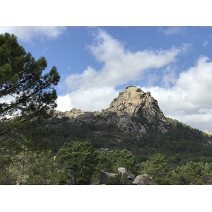 Photo France Corse Forêt de l'Ospedale 2017-09 0