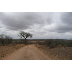 Photo Afrique du Sud Parc National Kruger Mpondo 2008-09 25