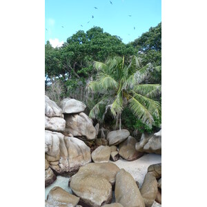 Photo Seychelles Ile Coco 2011-10 8
