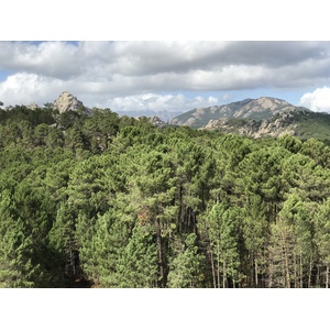 Photo France Corse Forêt de l'Ospedale 2017-09 8