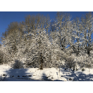 Photo Suisse Crans Montana 2020-12 454