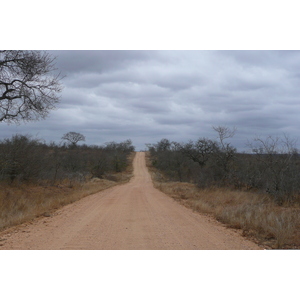 Photo Afrique du Sud Parc National Kruger 2008-09 61