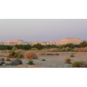 Photo Israel Mer Morte 2007-06 129