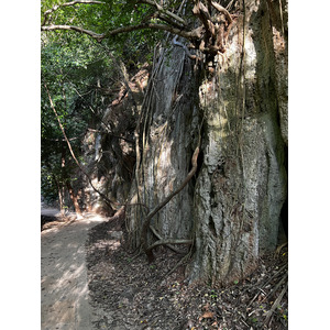 Photo Thaïlande Krabi 2023-01 430