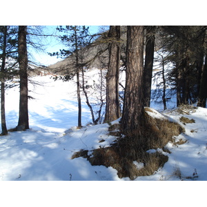 Photo Suisse Pontresina 2007-01 159