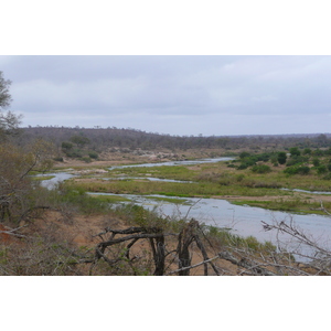 Photo Afrique du Sud Parc National Kruger rivière Crocodile 2008-09 54