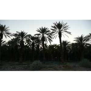 Photo Israel Mer Morte 2007-06 141
