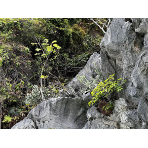 Photo Thaïlande Krabi 2023-01 220
