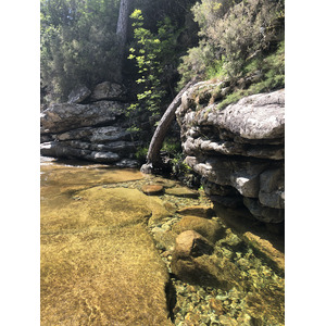 Photo France Corse Forêt d'Aïtone 2021-06 54