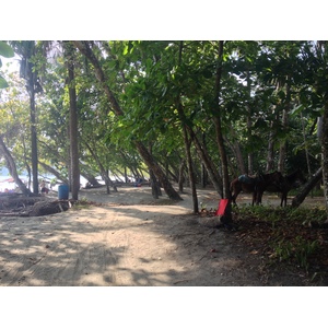 Photo Costa Rica Parc Manuel Antonio 2015-03 242