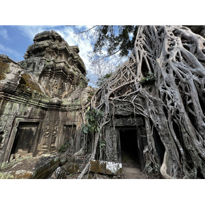 Photo Cambodge Siem Reap Ta Prohm 2023-01 57