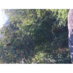 Photo Thaïlande Parc National Phu Hin Rong Kla 2014-12 288