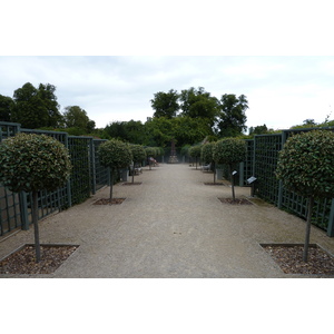 Photo Royaume-Uni Burghley House 2011-07 24