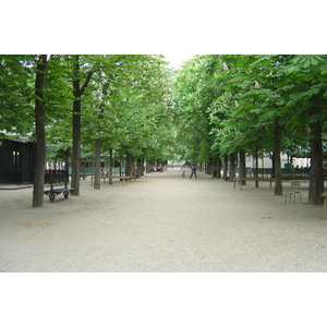 Photo France Paris Jardin du Luxembourg 2007-04 5