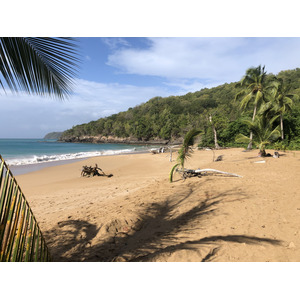 Photo Guadeloupe Plage de la Perle 2021-02 21