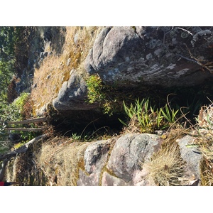 Photo Thaïlande Parc National Phu Hin Rong Kla 2014-12 281