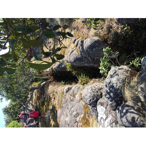 Photo Thaïlande Parc National Phu Hin Rong Kla 2014-12 236