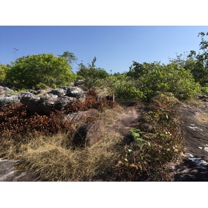 Photo Thaïlande Parc National Phu Hin Rong Kla 2014-12 233