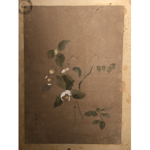 Photo Italie Sicile Palermo Palais des Normands 2020-02 159