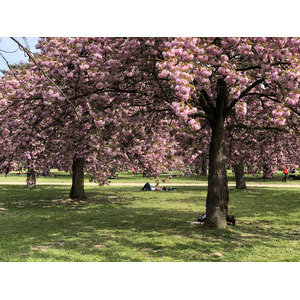 Photo France Parc de Sceaux 2019-04 94