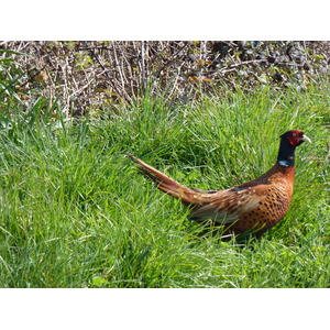 Photo Jersey 2010-04 63
