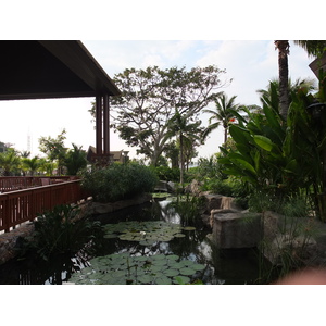 Photo Thaïlande Pattaya Centara Hotel 2011-12 71