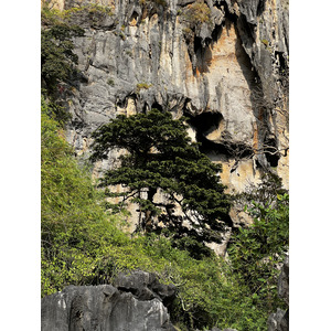 Photo Thaïlande Krabi 2023-01 171