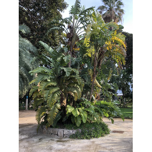 Photo Italie Sicile Palermo Palais des Normands 2020-02 221