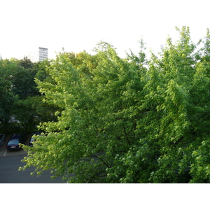 Photo Allemagne Dusseldorf Hotel Radisson 2007-05 21