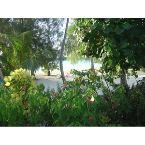 Photo Polynésie Hotel Meridien Bora Bora 2006-04 231