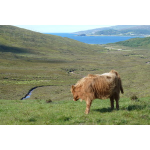 Photo Royaume-Uni Skye Les Cuillin 2011-07 79